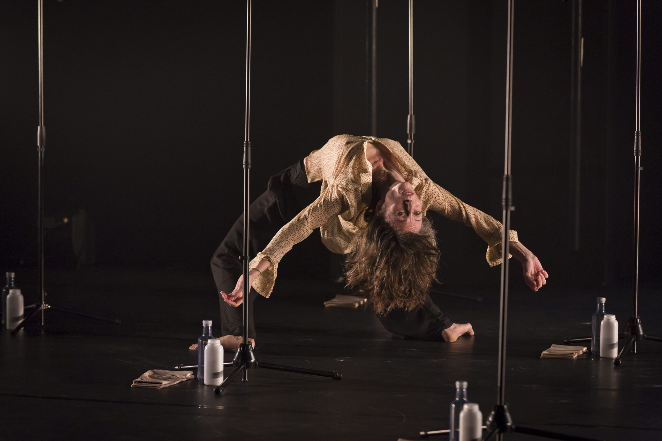 ARTIFICIOS Y LEOPARDOS 104