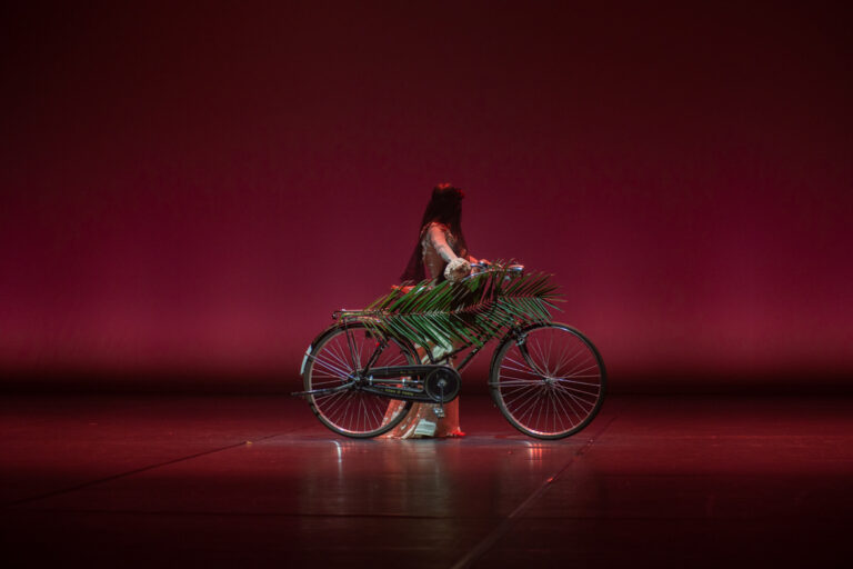 Terebrante / Angélica Liddell