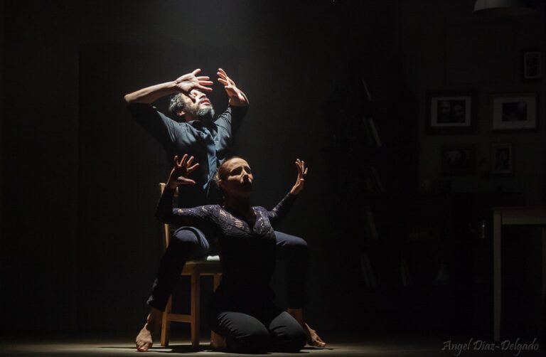 Compañía Los Escultores del Aire / Skin Poem for a Cosy House. Cataluña / Costa Rica