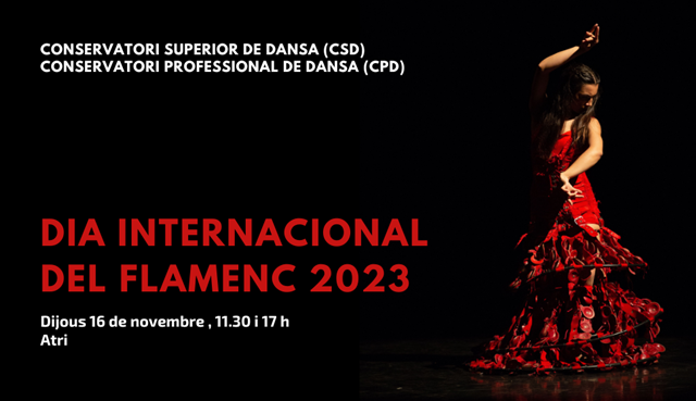 noti-dia-flamenc-23