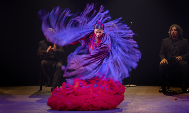 Imagen de la artista en otra función