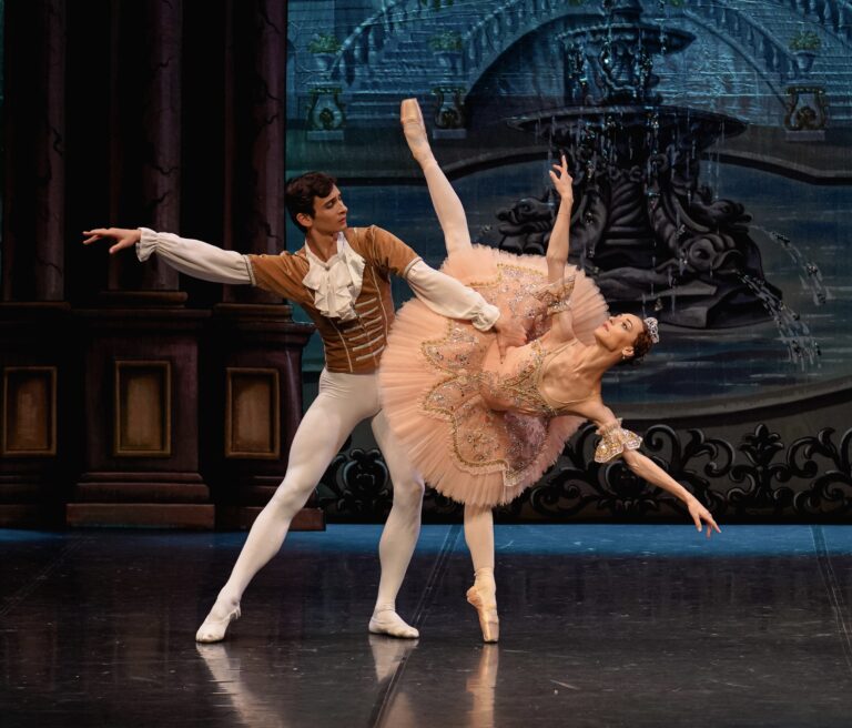 Imagen del Ballet Clásico Internacional