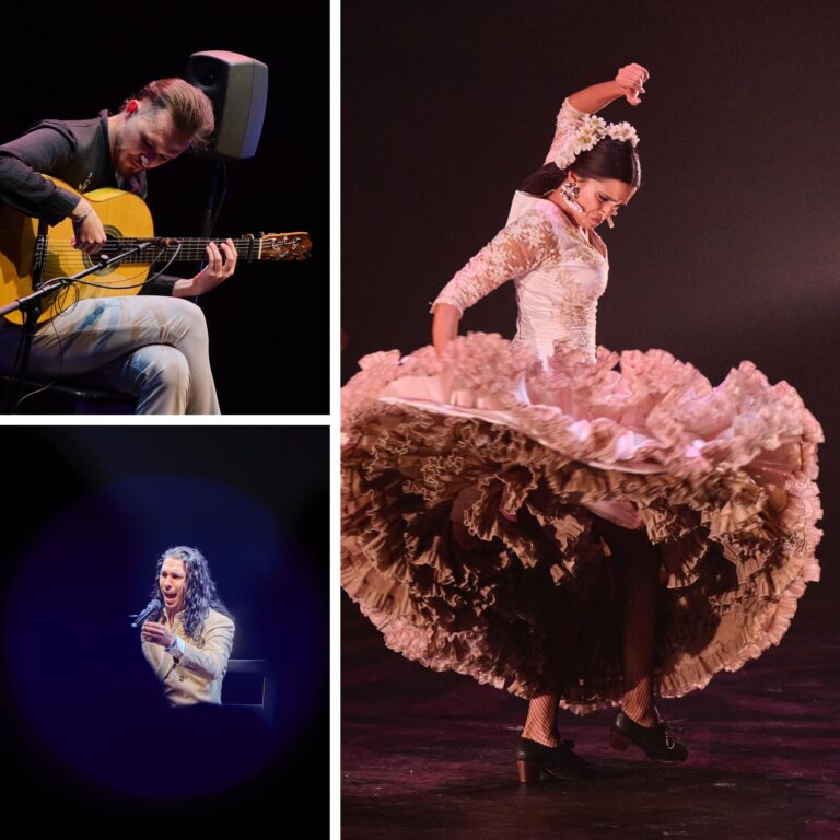 Pablo Heredia, David Fernández y Lole de los Reyes durante sus actuaciones