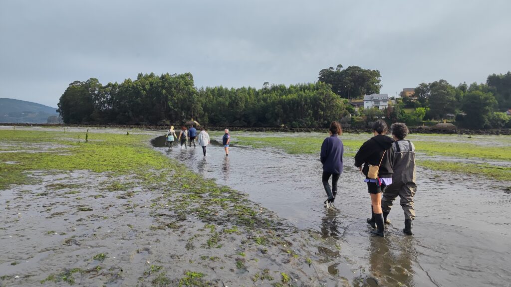 Una imagen de los proyectos