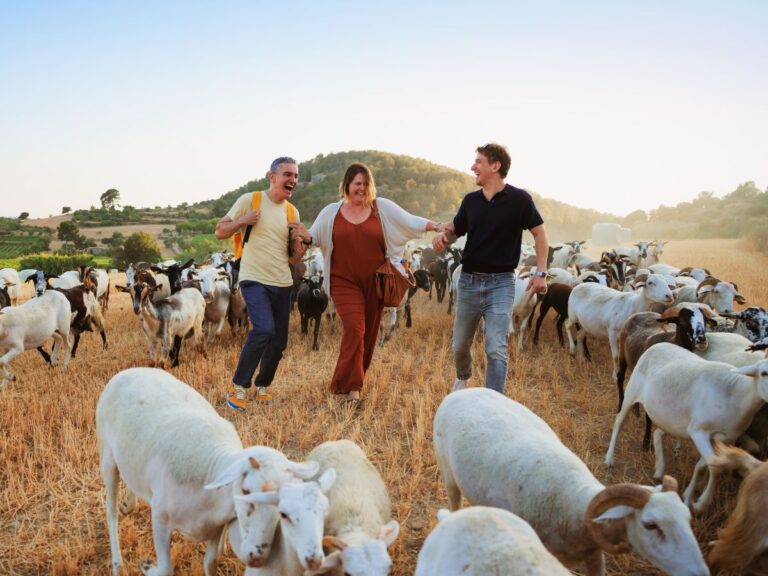 Imagen promocional de la obra