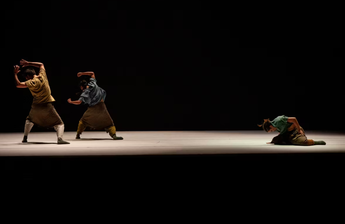 Imagen de El bosque, de Marcat Dance