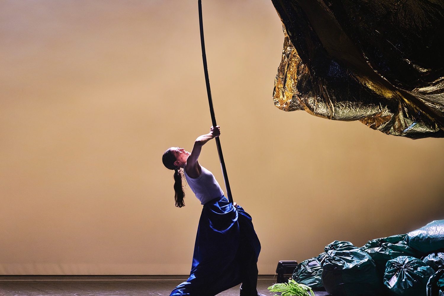 Historia del amor, de Agrupación Sr. Serrano