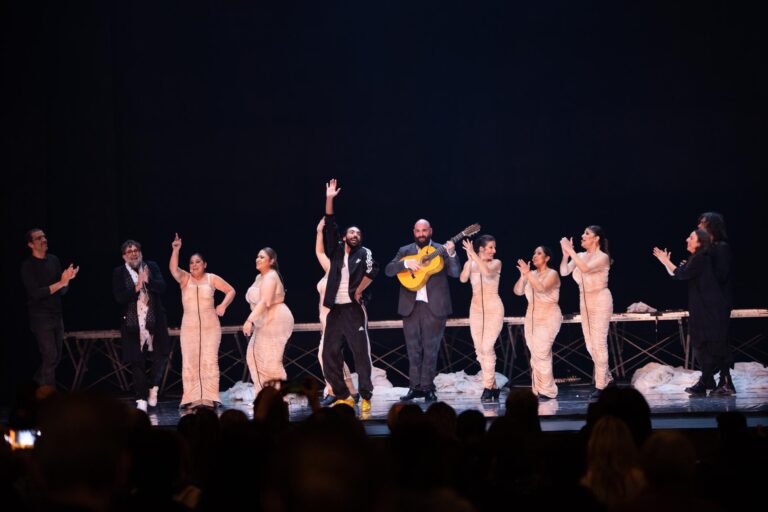 Imagen durante un espectáculo de El manto y su ojo