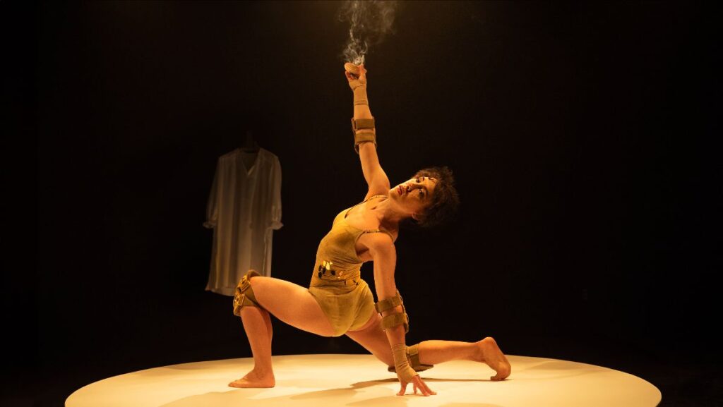 'Zorra dorada' de Elisa Forcano