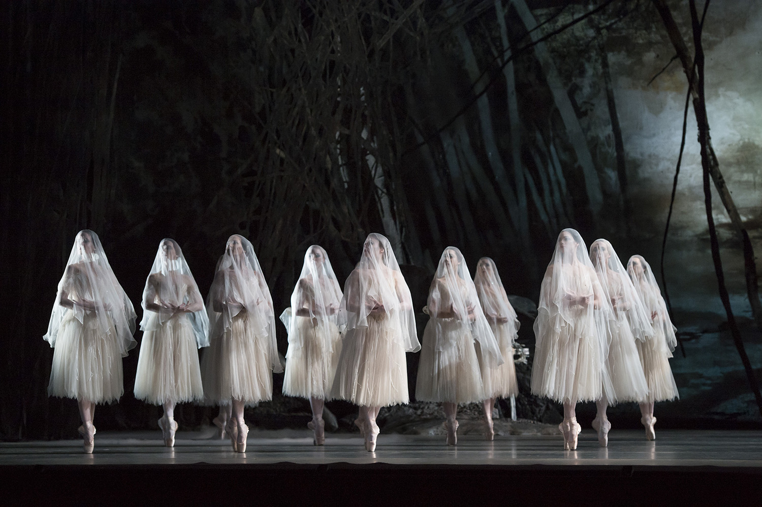 Imagen de Giselle