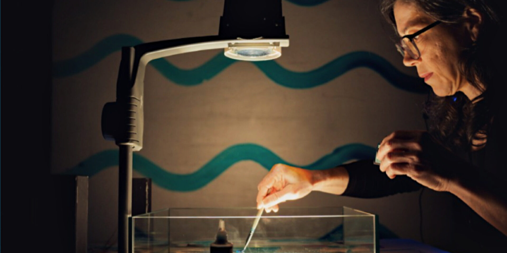 La Curiosa: ¡Que suene la luz!