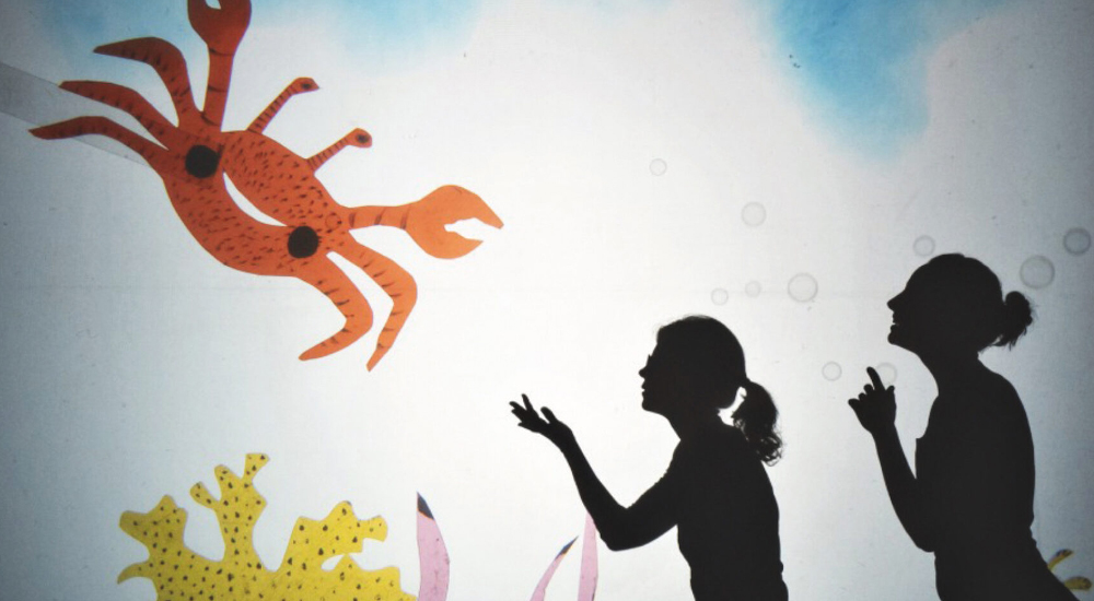 Imagen de la compañía La curiosa