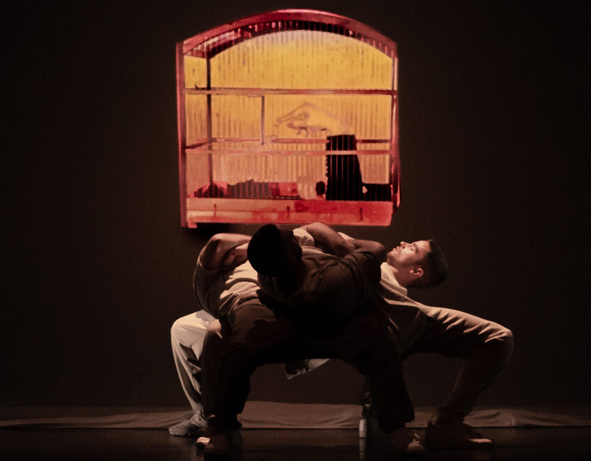 Logela Multimedia & Circle Of Trust: Suirrealismo