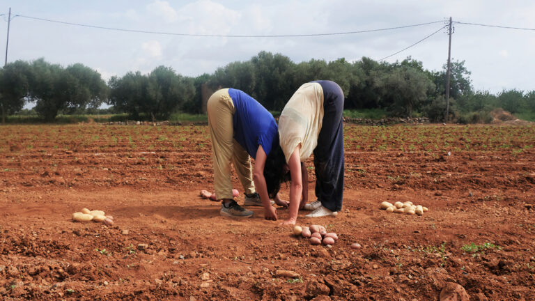 Cristina Khai y Gracia Ferrís trabajarán en Villafranca de los Barros (Badajoz)