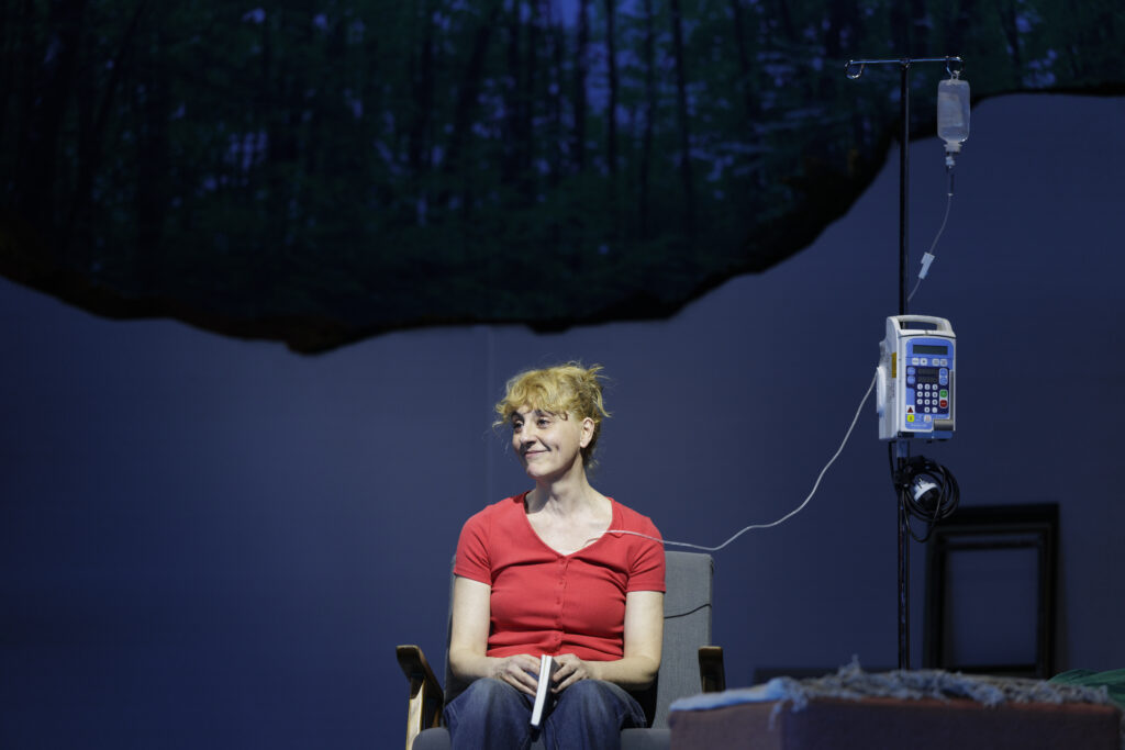 Un instante de la representación