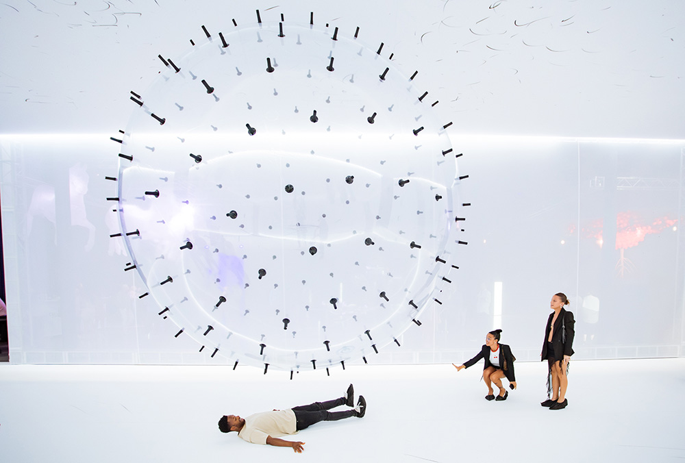 Karina Smigla-Bobinski ADA