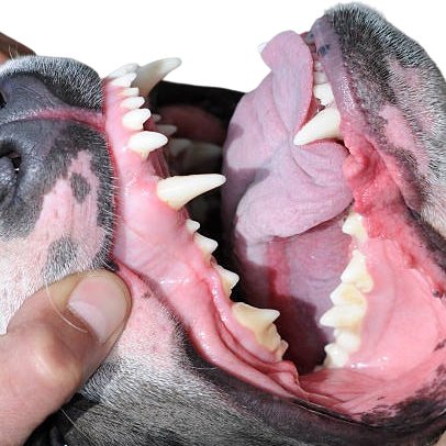 Imagen promocional de la obra