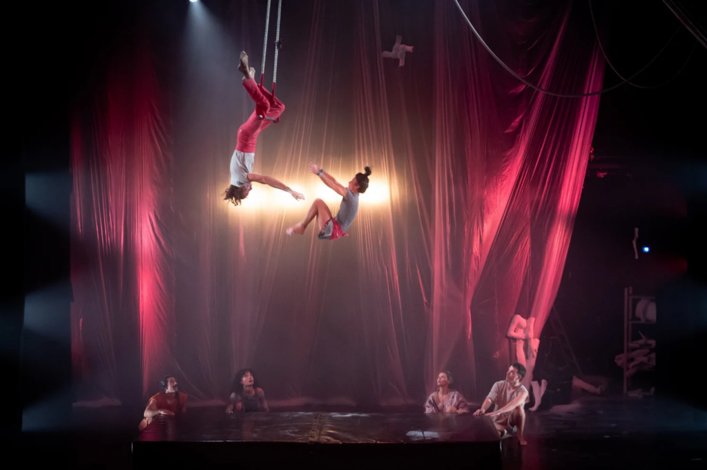 Sustrai-Ikus_Circus-0231-13