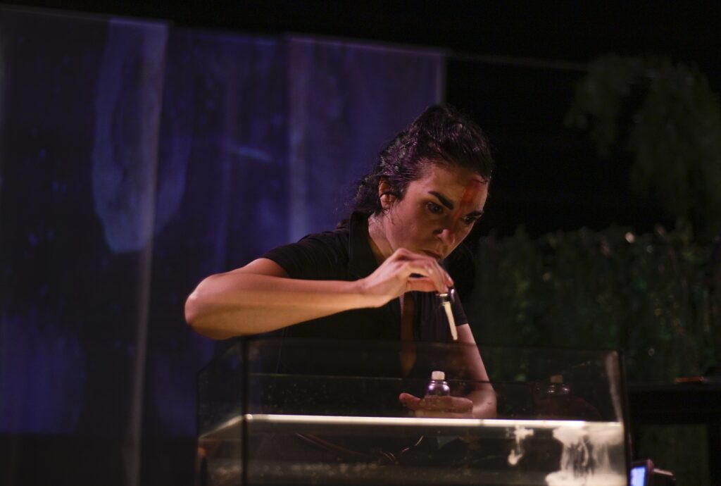 laabadia_2526_perracimarrona_6