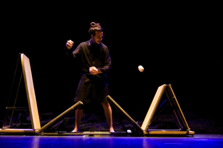 Empaque - Chicharrón circo flamenco