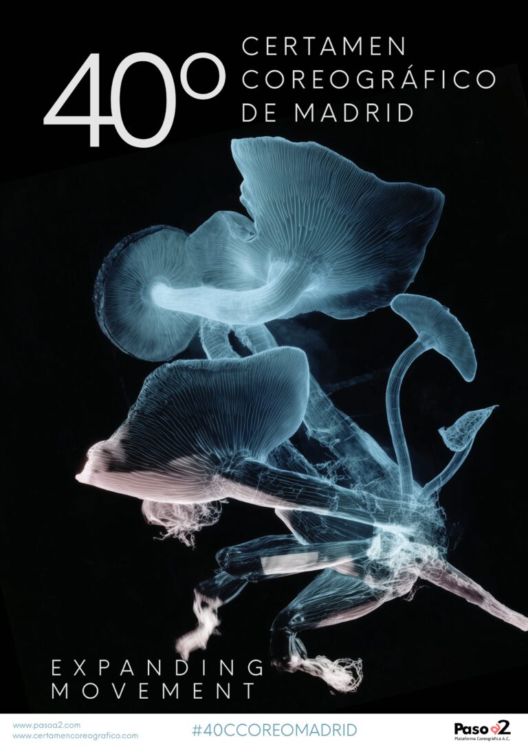 Imagen promocional del Certamen