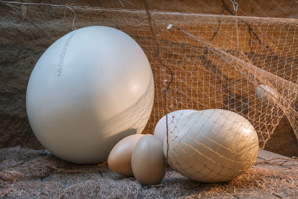 Exposicion Huevos